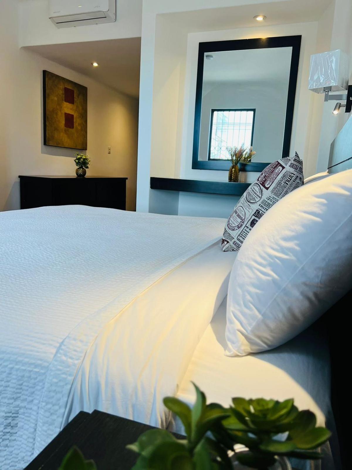 סן לואיס פוטוסי Qa Hotel מראה חיצוני תמונה