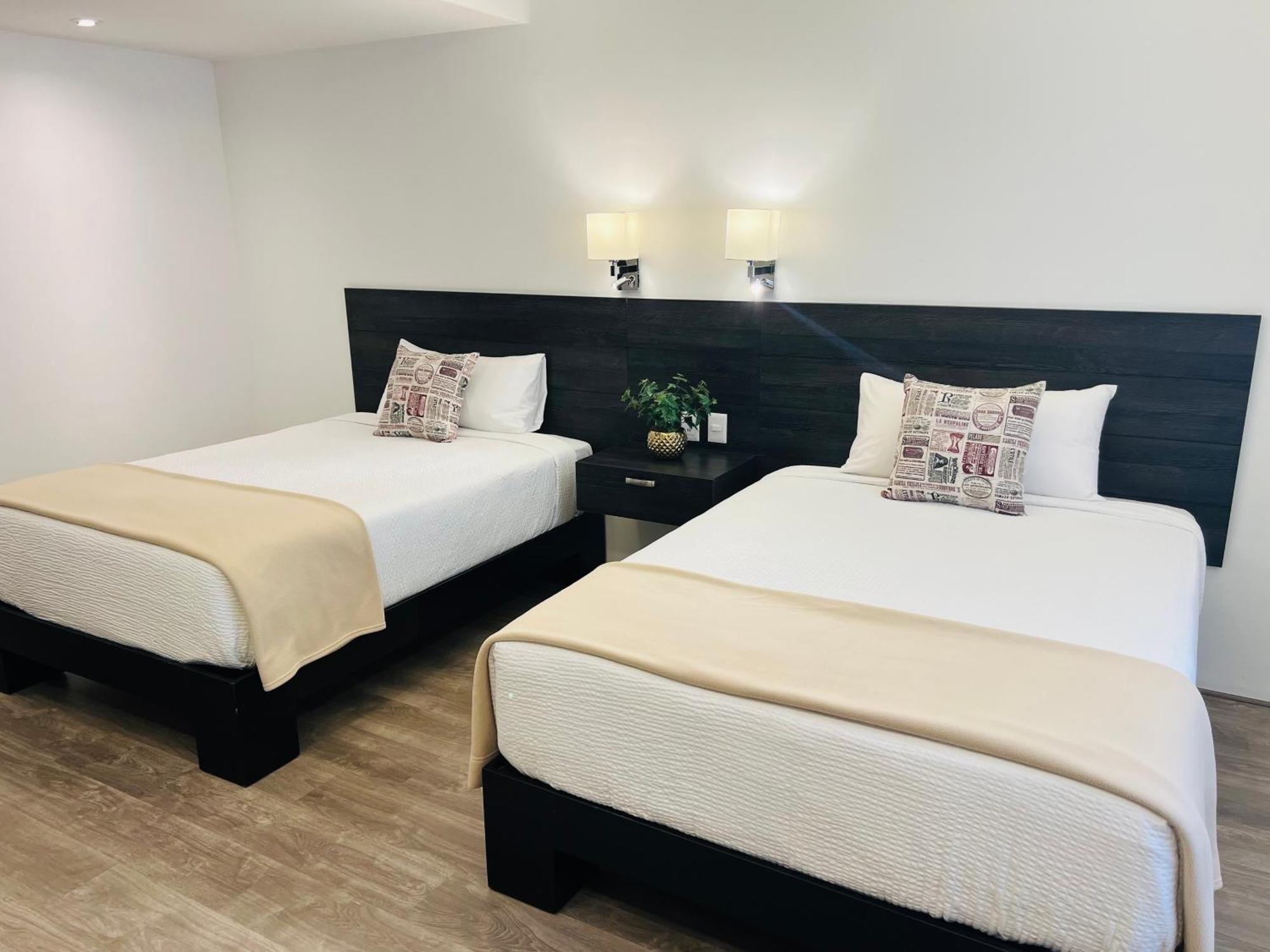 סן לואיס פוטוסי Qa Hotel מראה חיצוני תמונה