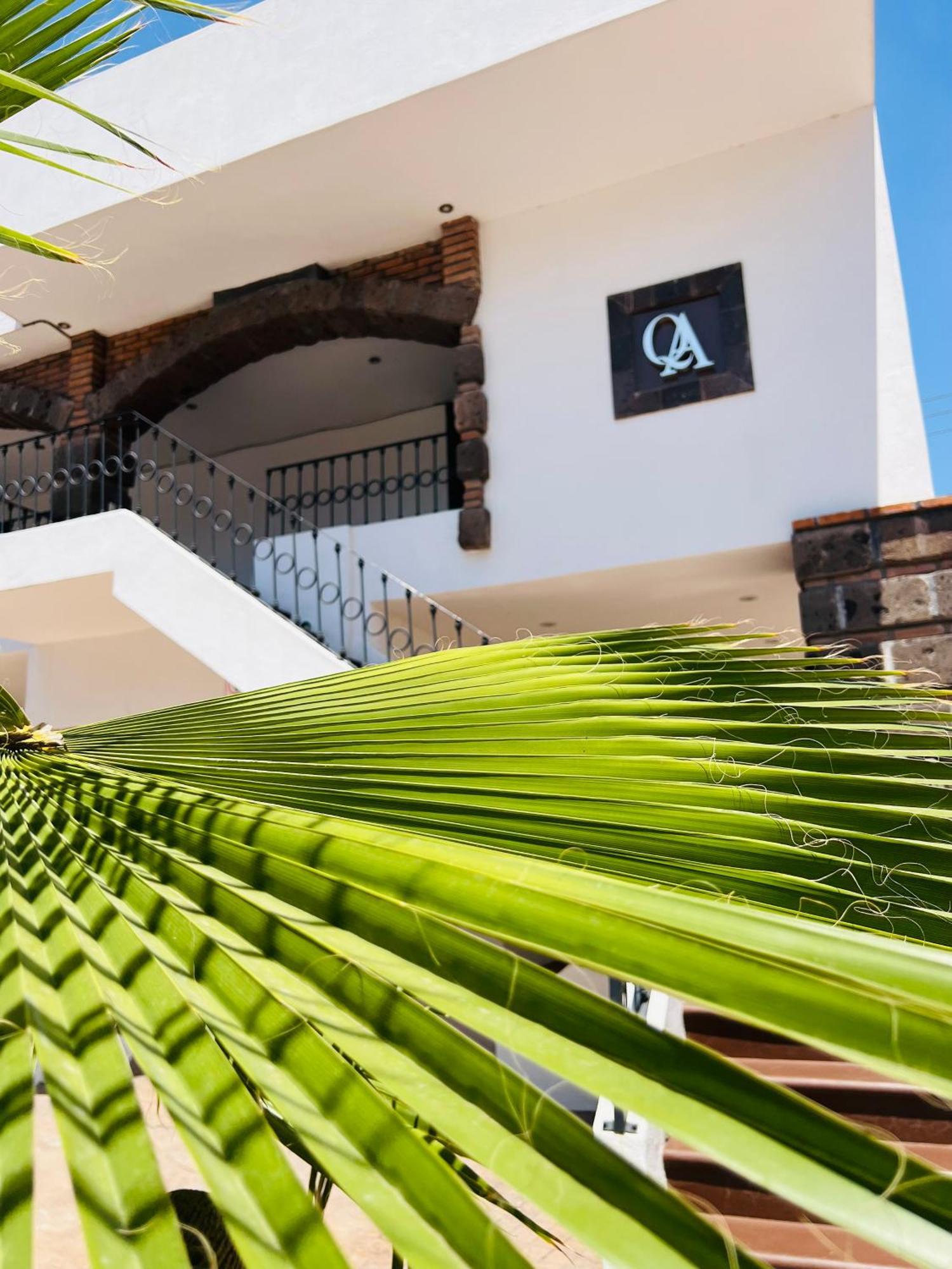 סן לואיס פוטוסי Qa Hotel מראה חיצוני תמונה